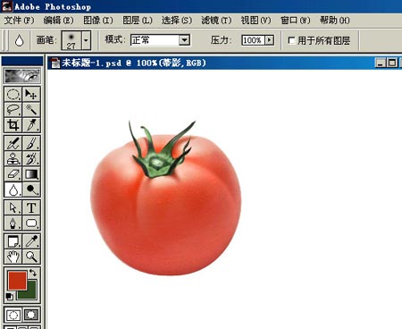 鼠繪逼真西紅柿效果的PS教程